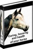 Thumbnail Horse Care 