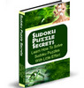 Thumbnail Sudoku Puzzle Secrets With PLR