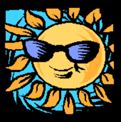 Product picture How to Be an Air Courier  With MRR