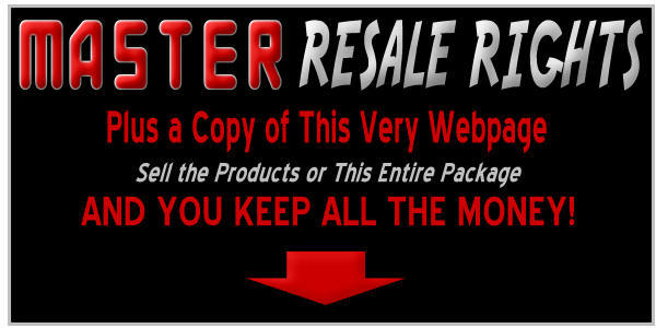 Product picture Adsense 26-Page Niche Site Kits With MRR