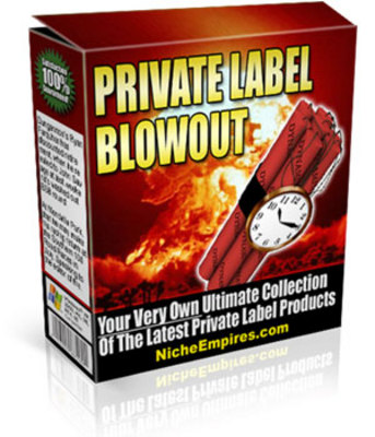 Product picture 5 Brand New Ebooks With PLR