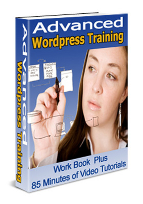 Product picture The Best Advanced WordPress Training in 2008 With PLR