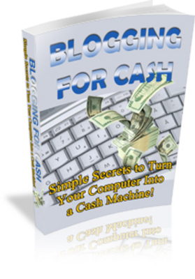 Product picture The Best 10 PLR Sales Block In 2008