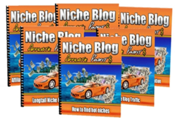 Product picture Niche Blog Affiliate Profits With PLR MRR 