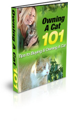 Product picture *New* Ebook Owning A Cat With PLR