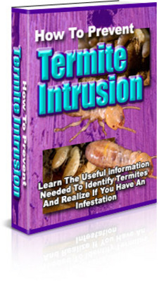 Product picture How To Prevent Termite Intrusion With PLR