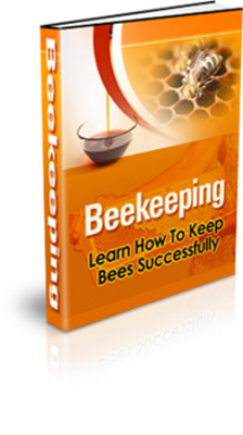 Product picture Beekeeping With PLR