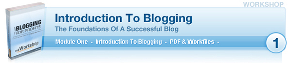 Product picture *New* Blogging Workshop With PLR