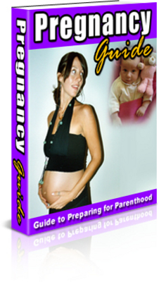 Product picture Pregnancy Guide With PLR