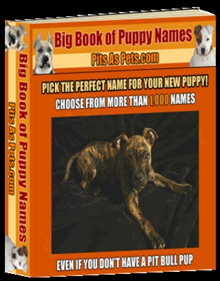 Product picture Puppy Names With PLR