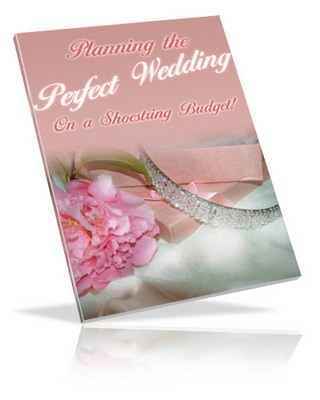 Product picture Planning the Perfect Wedding With PLR