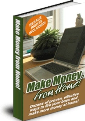 Product picture Make Money From Home With MRR