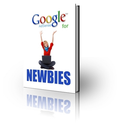Product picture Google AdSense For Newbies in 2008 With PLR 