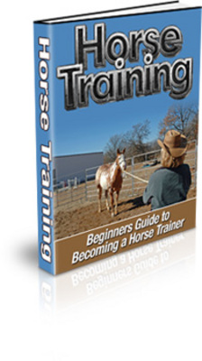 Product picture Brand New Beginners Guide To Horse Training in 2009 With MRR