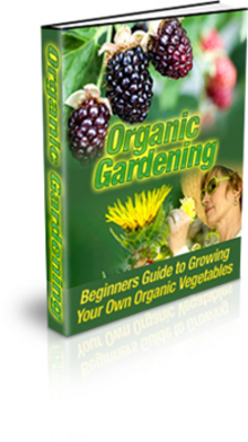 Product picture *New* Organic Gardening With PLR