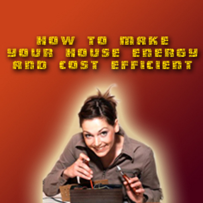 Product picture Energy Efficient House Online Business FullPack With PLR 
