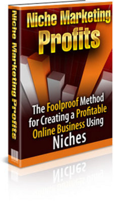 Product picture Niche Marketing Profits With MRR PLR