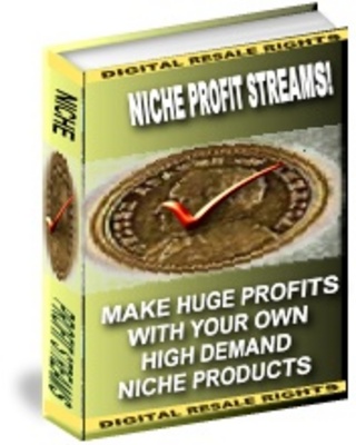 Product picture Niche Profit Streams With MRR